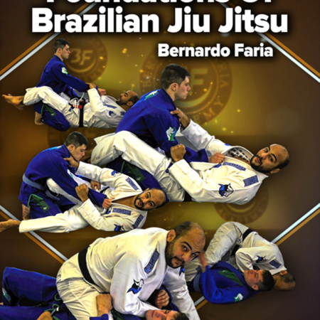 Foundations of Brazilian Jiu Jitsu by Bernardo Faria